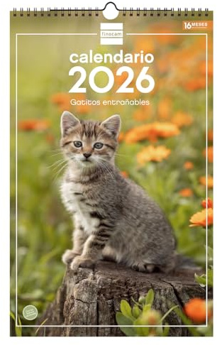 Finocam Wandkalender 2026, 25 x 40 cm, Monatsansicht Januar - Dezember 2026 + Sep. - Dez. 2025 (4 Monate), Kalender 2026, Katzenbilder - Spanisch
