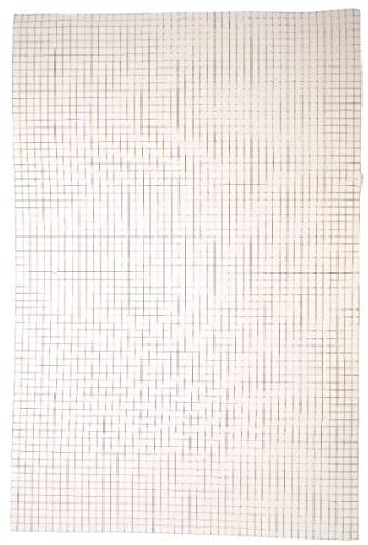 garden mile® Panneau de grillage galvanisé soudé - Différentes tailles - Grillage carré soudé (13 mm, 1 x 20 m)