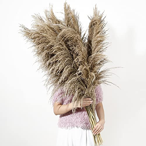 Wertuirk 9 Stems Dried Pampas Grass Decor Tall 48''/4 FT
