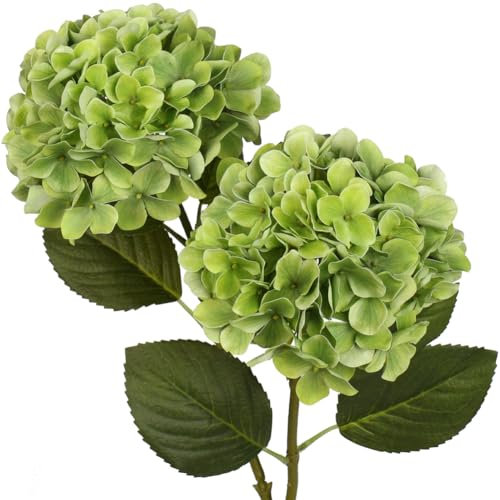 Briful Hydrangea Artificial Flowers Real Touch Hydrangea Flowers 24.8 Tall Fake Flowers Hydrangea Plants with Long Stem Green Artificial Flowers Outdoor, Garden Wedding, Home Decor