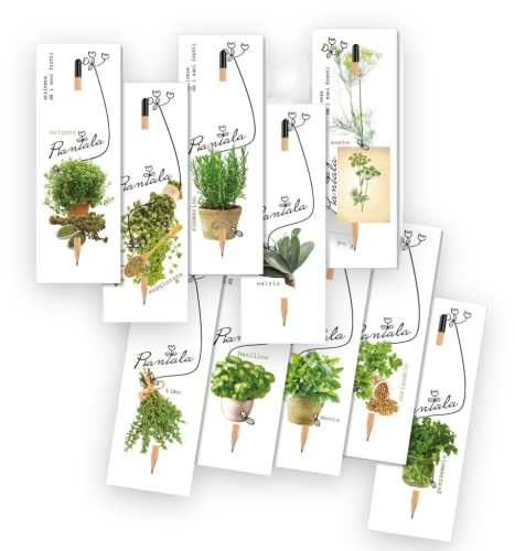 SEMI (piante aromatiche miste (essempio basilico, coriandolo, menta, timo, salvia, peperoncino...))