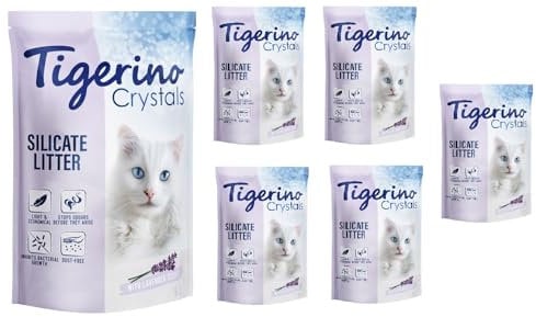 Tigerino Crystals Lavender Katzenstreu Super Pack: 6 x 5 Liter Silikatstreu mit frischem Lavendelduft Umweltfreundlich Super Saugfähige Streu