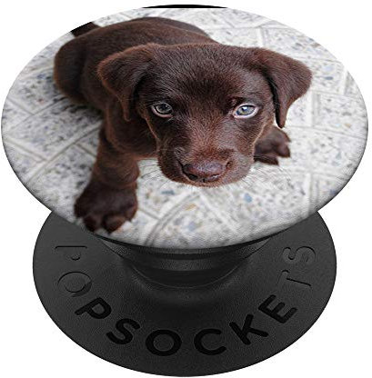 Chocolate Lab Puppy Brown Labrador Dog PopSockets Support et Grip pour Smartphones et Tablettes