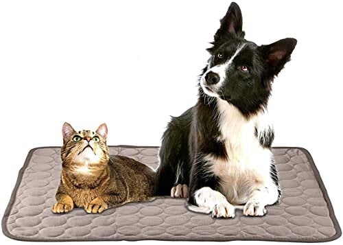 Haustier Kühlmatte Inkontinenzauflage Erziehungsunterlage für Hunde Katzen, Waschbar Atmungsaktiv Bettschutz ca. 70x55cm Pee Pad Schnell absorbierend Windelunterlage Welpenmatte Decke