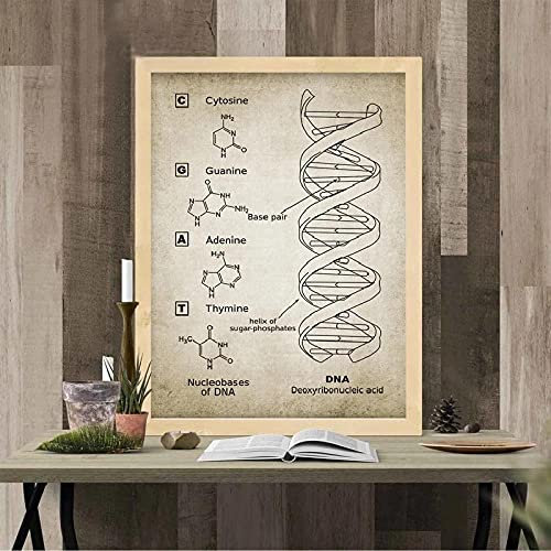 Bilder, Poster, Kunstdrucke Genetischer Code Wandkunst Leinwand Malerei Drucke Genetik Biochemie Student Geschenk Vintage Poster Wissenschaft Wanddekor Poster Und Drucke - 50X70Cm