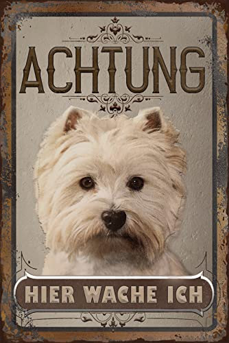 30 x 20 cm wetterfestes Blechschild, Warnhinweis, Torschild, Achtung, hier Wache ich! Warnung vor dem Hund (West Highland Terrier)
