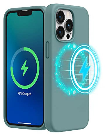 SURPHY Magnetic Case Designed for iPhone 13 Pro Case (6.1 inch 2021 Release), with Microfiber Lining Liquid Silicone Phone Case for iPhone 13 Pro (Cactus Green)