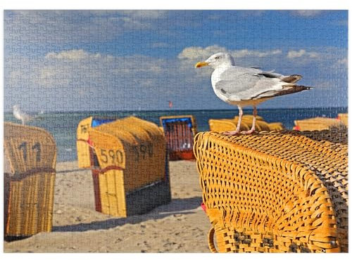 MyPuzzle Möwe auf einem Strandkorb, Ostseebad Laboe, Schleswig-Holstein, Deutschland - Premium 1000 Teile Puzzle - MyPuzzle Sonderkollektion von Puzzle Galaxy