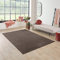 Carpet Studio Maine Teppich Braun, Wohnzimmer 190x290 cm, Kurzflor, Schlafzimmer