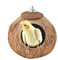 Petite cage à oiseaux – Nid d'oiseau en coco | Nichoir en coquille de noix de coco | Nid de noix de coco pour un abri confortable, maison d'oiseaux faite à la main pour petits perroquets,
