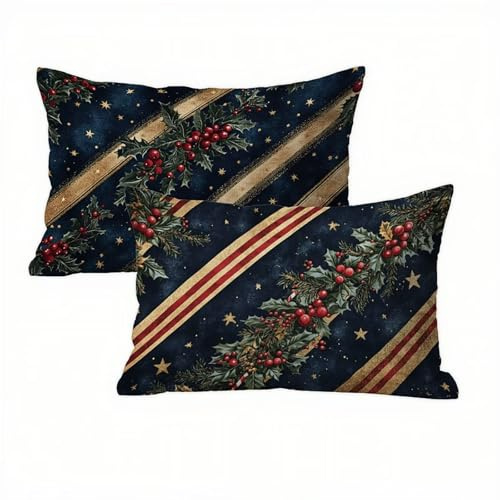 Weihnachten Kissenbezug 40 x 60 Samt 2er Set, Wasserdichter Kissenbezug Marineblau Kissenbezüge 40x60 Outdoor Wasserdichter, Mode Flauschig Weich Pillow Cover, Deko für Wohnzimmer Sofa Bett K2-416