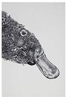 Maxwell & Williams Marini Ferlazzo Geschirrtuch mit Tiermotiv Schnabeltier 100 % indische Baumwolle, weiß, 50 x 70 cm