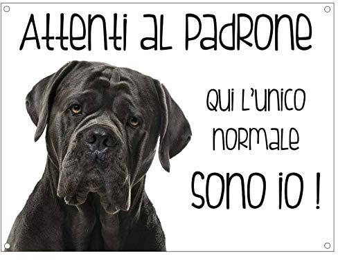 CARTELLO CANE - CANE CORSO Attenti al padrone qui l'unico normale sono io - Con Adesivo in Vinile e Pannello in Forex (Pannello 5mm Stampato)