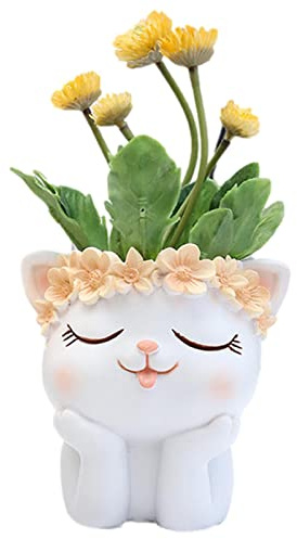 Stalf Blumentöpfe Einzigartiger, Sukkulenten Pflanze Topf, Pflanzgefäß Blumentopf Pflanzschale, Katzen Blumenkübel Blumentopf Für Haus Büro Garten Indoor Outdoor Dekor