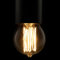 LED A19 Soft Bulb Cage E27 2200K 6W