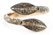 Windalf Vikings Krieger Ring ARAWN 10 mm Wikinger Ornamentik Bronze (Bronze, 21)