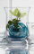 Sandra Rich 5X Glas Windlicht 15cm Windschutz