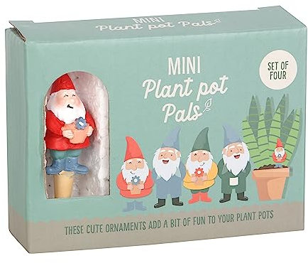 Something Different Wholesale Mini Gnome Plant Pot Pals Set of 4 with Witch's Hat - Wicked Witch Chip and Dip Party Dish - Crisps Holder