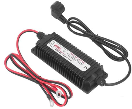 Intelligentes Lithium-Batterieladegerät für LiFePO4 und LiMn2O4, 29,2 V 10 A AC zu DC, Wasserdichtes Batterieladegerät mit Mehreren Schutzfunktionen (EU-Stecker)