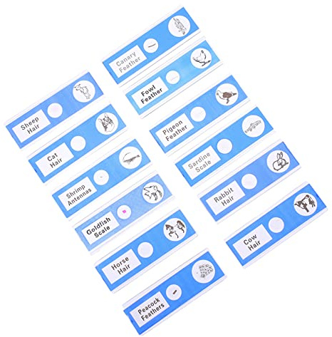 Mikroskopische Präparate für Kinder 12 Stück Abs Blau Klar | Tierproben und Natur unter Mikroskop, Glatte Oberfläche, Passend für Homeschool und Unterricht