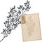 NAKLEO Pochoir pour Peinture Murale Grand Format 59x95cm, Modèle en Plastique et Réutilisable, Olive Branche Bifurquer Arbre, DIY Bricolage Artisanat Décoration a Peindre, Bois Tissu Mueble