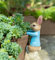 Jardinopia Beatrix Potter Peter Rabbit Hanging Plant Pot Hanger - L11 x W4 x H5.5 cm