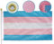 Premium Transgender-Pride-Flagge, 90 x 150 cm, groß, strapazierfähig, Nylon-genähte Streifen, vierfach genähte Fliegenenden, Trans-Regenbogen-Flaggen, Hausdekoration, Banner, Souvenir, Geschenk