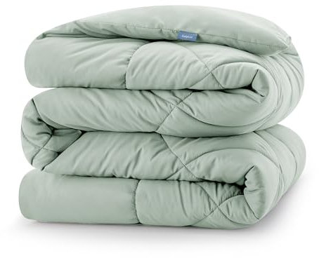 CozyLux Bettdecke 200x200cm für 4 Jahreszeiten, Steppdecke Mikrofaser 300gsm, Ganzjahresdecke 2x2m, Decke 200x200 cm, Super Weiche Zudecke Schlafdecke Atmungsaktive 200 x 200, Grün