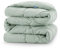 CozyLux Bettdecke 200x200cm für 4 Jahreszeiten, Steppdecke Mikrofaser 300gsm, Ganzjahresdecke 2x2m, Decke 200x200 cm, Super Weiche Zudecke Schlafdecke Atmungsaktive 200 x 200, Grün