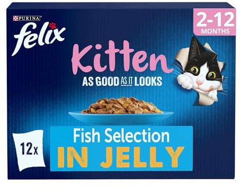 FELIX As Good As it Looks Kitten Fish in Jelly Wet Cat Food 12x85g