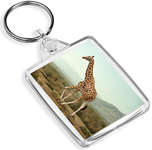 Porte-clés girafe marchant - IP02 - Animaux sauvages Jungle 16585, multicolore, M