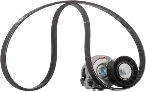 Skf VKMA 36244 V-Ribbed Belt Set
