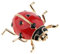 Paowsietiviity Broche insecte coccinelle en émail pour homme et femme Rouge 2,9 x 3,1 cm
