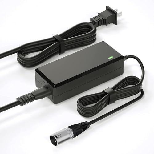 Chargeur de scooter électrique 24 V 2 A, adapté pour Go Go Elite Traveler, Pride Mobility, Jazzy Electric Chair Battery, et plus Ezip Mountain Trailz 3 broches XLR connecteur