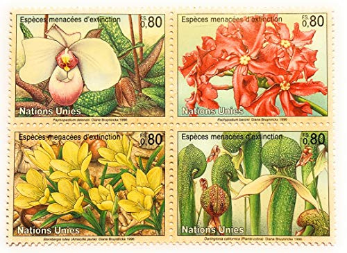 Générique 1 Bloc de 4 Timbres Neufs de Collection de 1996 du Bureau des Nations Unies à Genève. Espèces en Danger : Fleur, orchidée, Plante Carnivore. par des Livres Express