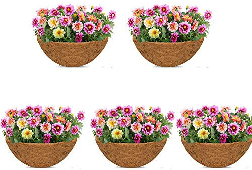 Lot de 5 sacs de rechange demi-ronds en fibre de coco de 12,7 cm pour panier suspendu, panier mural ou pot de fleurs
