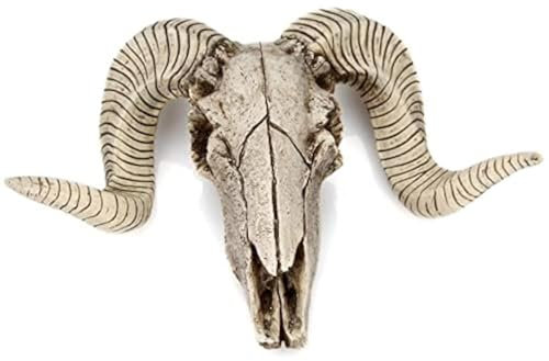MBVBN Skull Sheep Head Wall Sculpture,Resin Ram Decorations,Ram Decor Animal Skeleton Sculpture Hanging Art Collectible (A), About 25.5*6*17.5cm/ 10*2.36*6.89inch.