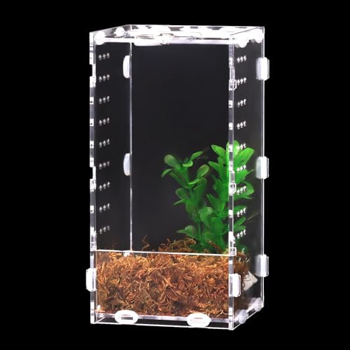 DERNORD Reptilien Acryl Spinnen Terrarium - Acrylbox Vivarium 20x10x10cm Klares Acryl für Springspinnen Tarantula Insekt