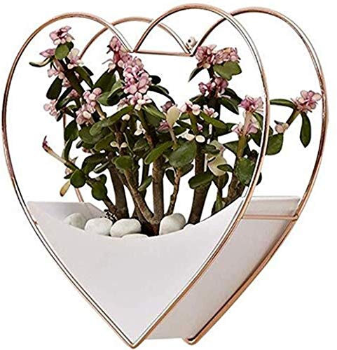 Inicio Sala de Estar Decoración de Pared Decoración de jardín Maceta Decoración para Colgar en la Pared Maceta suculenta Maceta de Flores Cesta Colgante de corazón-Oro Rosa + Florero Decorativo -A