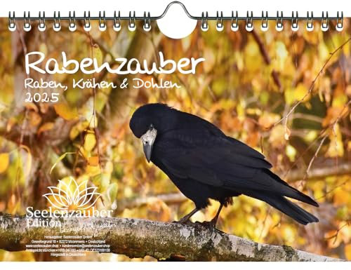 Rabenzauber Raben, Krähen und Dohlen DIN A5 Wandkalender für 2025 - Seelenzauber