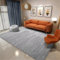 RUGMRZ Teppich Flur 80x120CM Wohnzimmer Teppichs Teppich waschbar rutschfest grau Rutschfester Flurteppich im modernen, minimalistischen Design