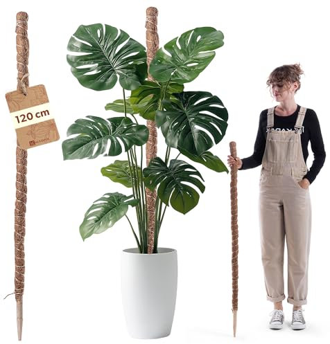 KADAX Monstera - Bastone per piante da appartamento in fibra di cocco (120 cm), asta di cocco e muschio per piante d'appartamento, rampicante e supporto per piante per interni ed esterni