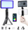 Weeylite RB9 RGB LED Vidéo Lumière Panneau avec Trépied,Batterie intégrée Rechargeable,360° Plein Couleur,App Contrôle,Dimmable 2500K-8500K pour Live Streaming,Vlogging,Selfie,Conférence Vidéo