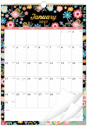 Wandkalender 2023,12 Monatlicher Wandkalender mit dickem Papier, Januar 2023,Dezember 2023, 30.5x43.2 cm, Haken zum Aufhängen, perfekt für Zuhause & Büro Eisplanung