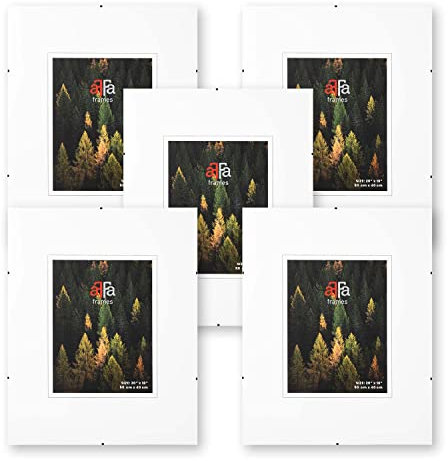 aFFa frames Rahmenloser Bilderhalter mit Clips für Fotos und Poster, the frame, Posterrahmen, Plexiglas, HDF, bilderrahmen 30x40 cm | Set 1 Packung mit 5 Stück