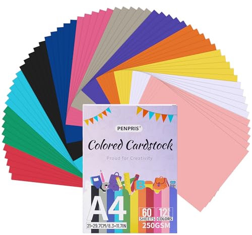Farbige Kartonpapier - 60 Blatt 12 Farben Farbige Kartonpapiere A4 Größe Kartonpapier 250gsm/92lb Schwergewichtiges Kartonpapier für Drucker, Kartenherstellung, DIY-Handarbeiten, Scrapbooking PAC06MX1
