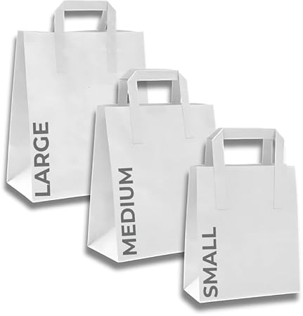 CaterCo Large White Paper Bags with Handles - 100 Pack, 10x12x5.5 (30x26x14cm) - Biodegradable White Bags for Food Takeaway, Groceries, Gift, Delivery & Events - Large - (30x26x14cm) - 100 pack