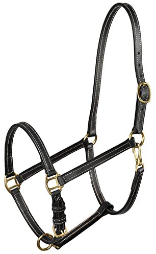 HORZE Fremont Lederhalfter, Schwarz, F