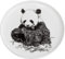 Maxwell & Williams DX0528 Assiette Giant Panda - Noir et Blanc - 20 cm de diamètre - Céramique - Animaux - Coffret Cadeau