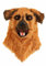 Fun Costumes Mouth Mover Dog Mask Standard